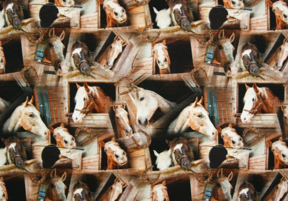 Digitale fotoprint tricot Paarden