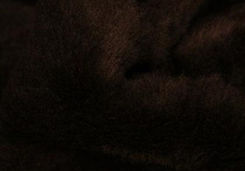 Pluche/Teddy bruin kort