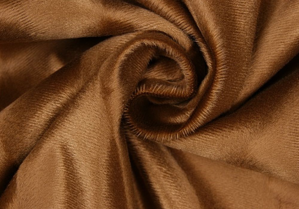 Dierenprint camel
