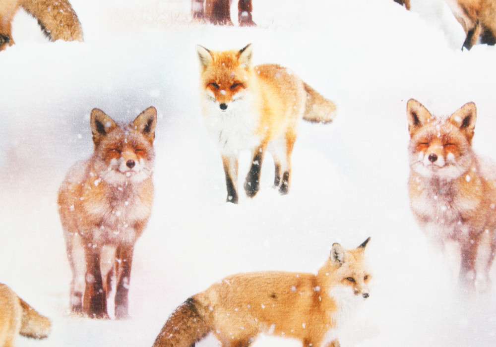 Digitale fotoprint tricot vosjes in sneeuw