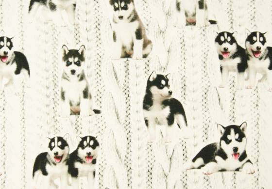 Digitale fotoprint tricot husky-puppies