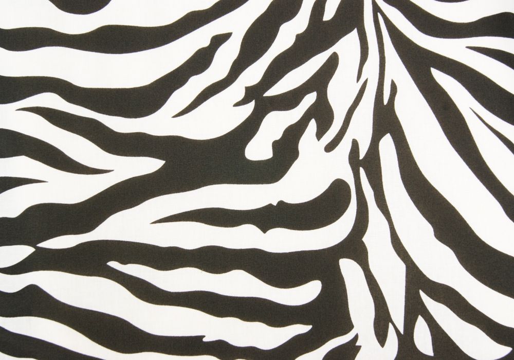 Katoen zebra