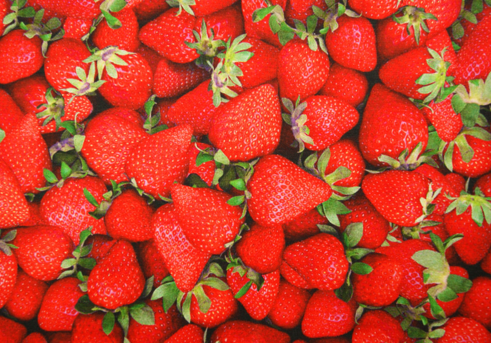 Digitale fotoprint tricot aardbeien