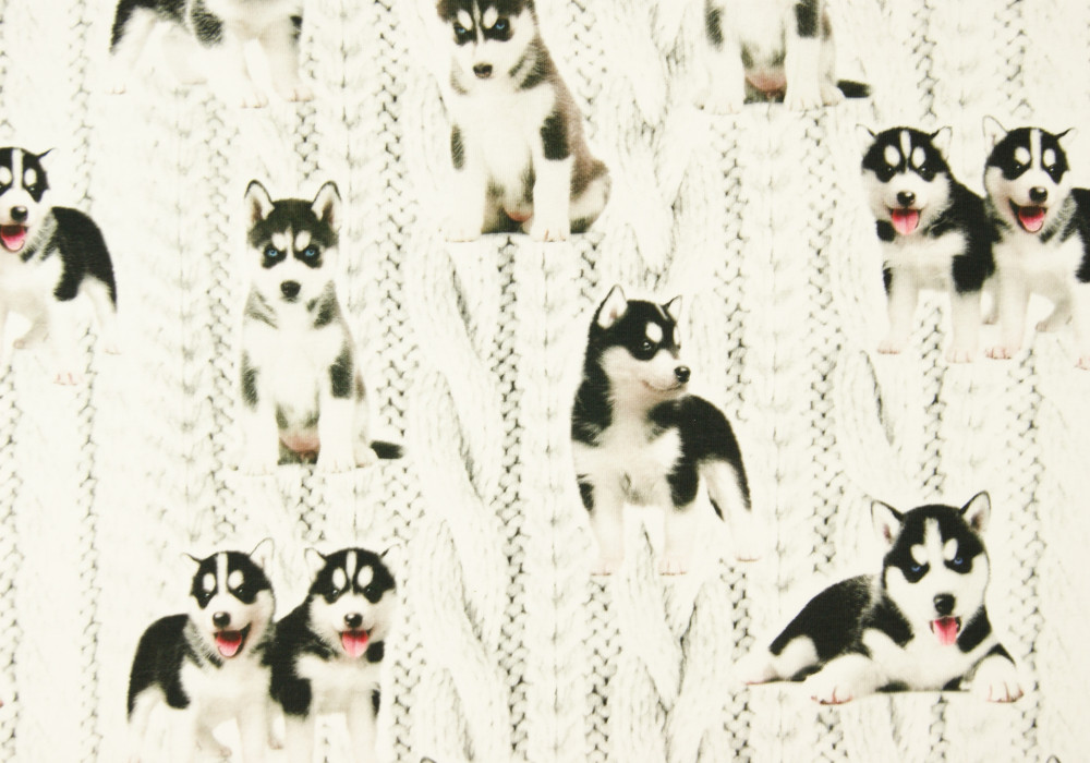 Digitale fotoprint tricot husky-puppies