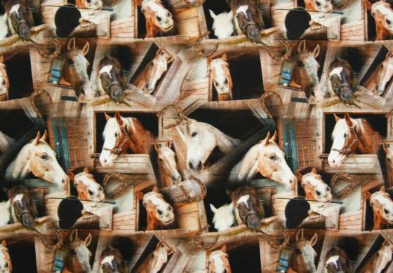 Digitale fotoprint tricot Paarden