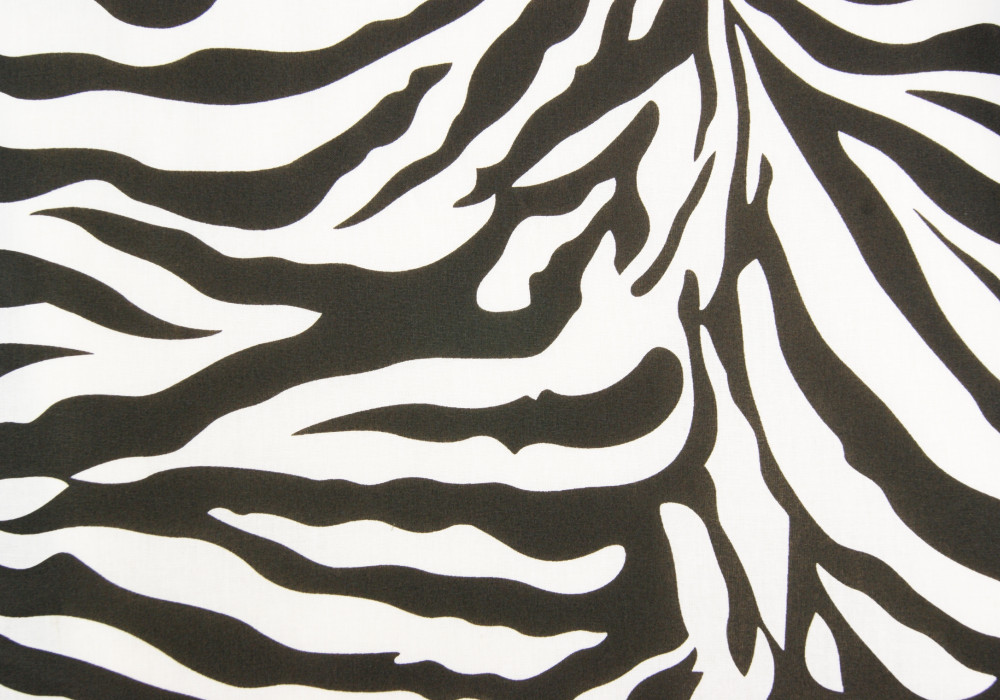 Katoen zebra