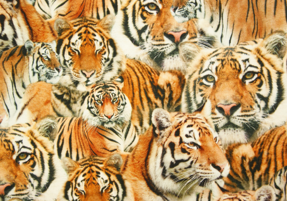 Digitale fotoprint tricot tijgers