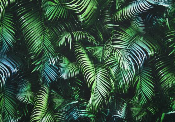Digitale fotoprint tricot palmbladeren gr