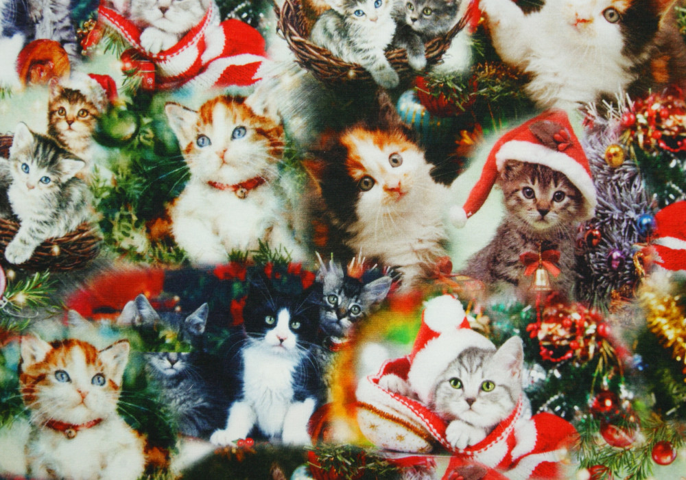 Digitale fotoprint tricot kerstpoesjes