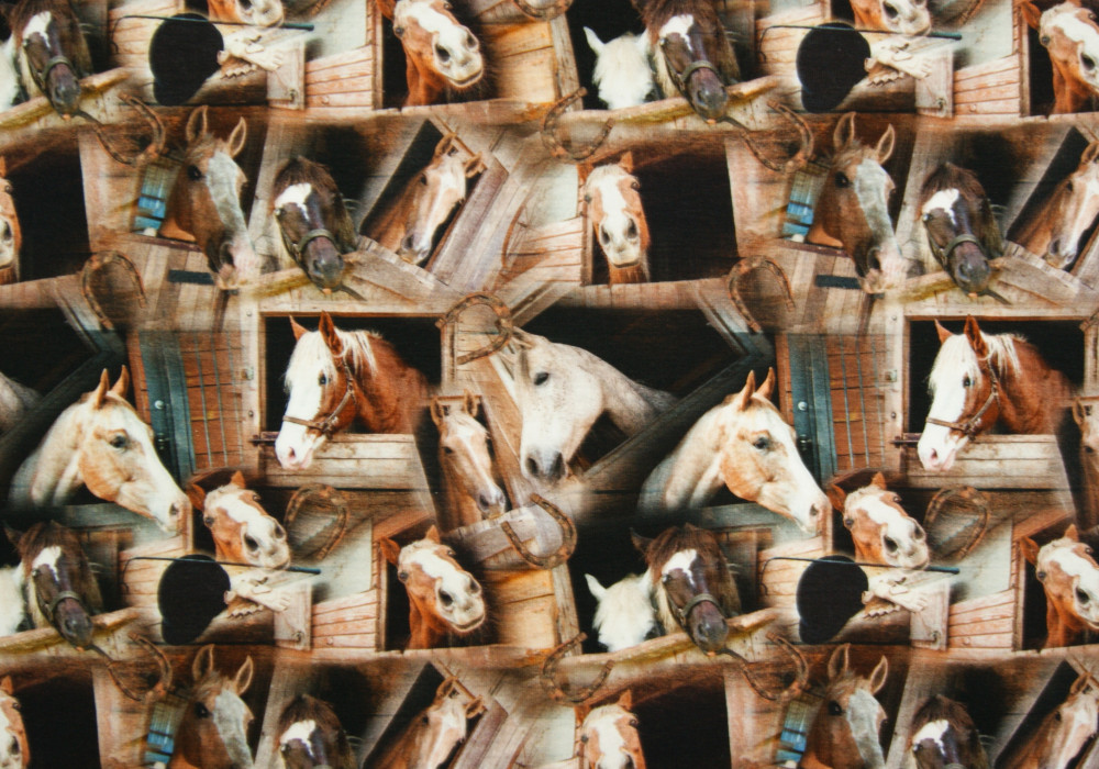 Digitale fotoprint tricot Paarden