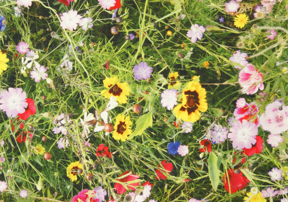 Decoratiestof bloemenweide