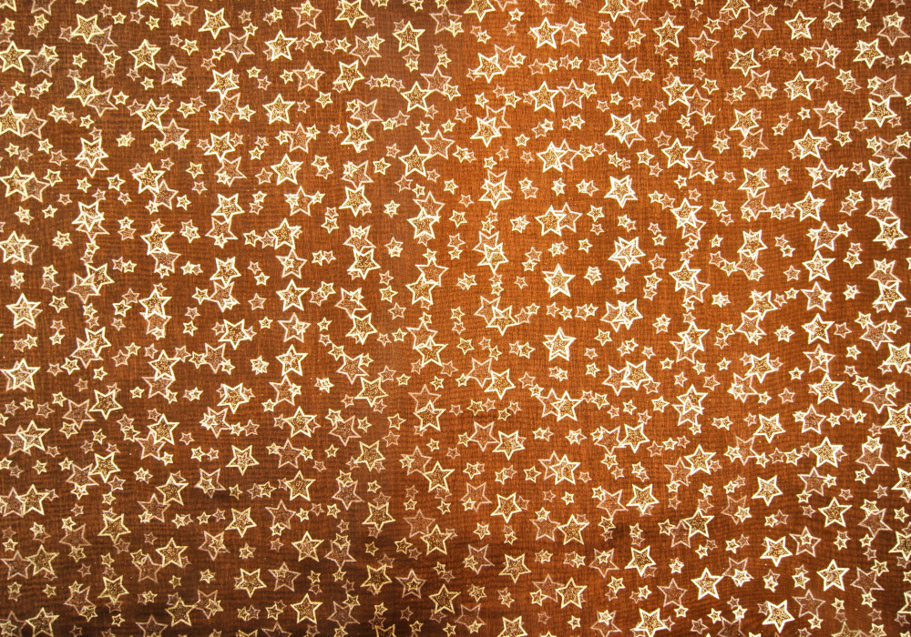 Organza kerst brique met gouden sterretjes