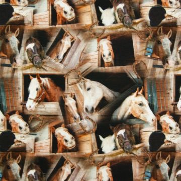 Digitale fotoprint tricot Paarden