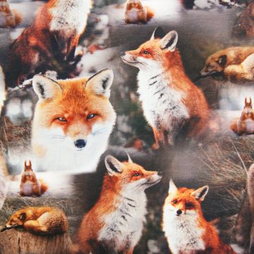 Digitale fotoprint tricot vossen