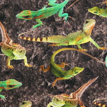 Digitale fotoprint tricot reptielen