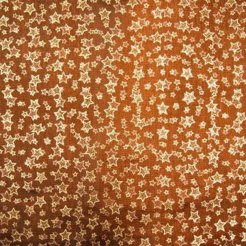 Organza kerst brique met gouden sterretjes