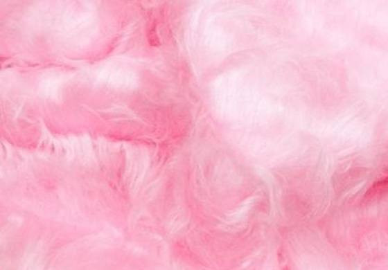 Pluche / Teddy roze lang