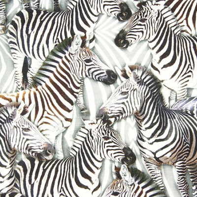 Digitale fotoprint tricot zebra