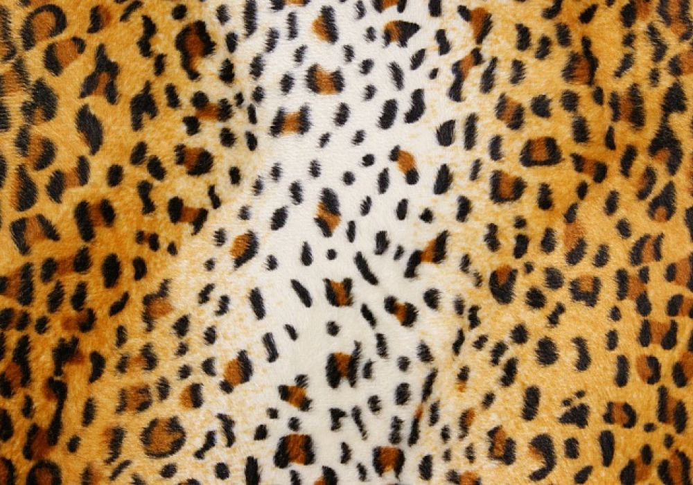 Imitatiebont Velboa - Dierenprint panter klein