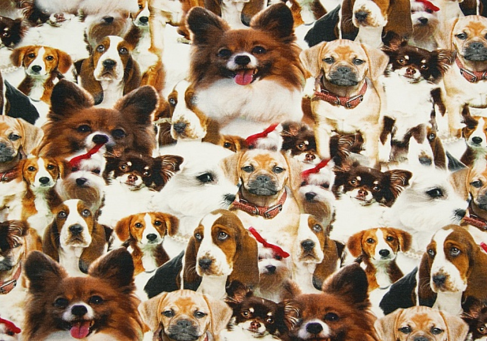 Digitale fotoprint tricot honden