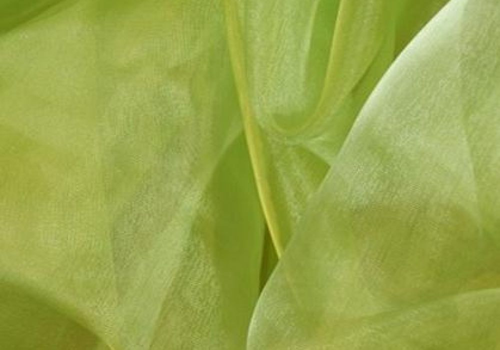 Organza lime