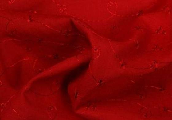Broderie rood