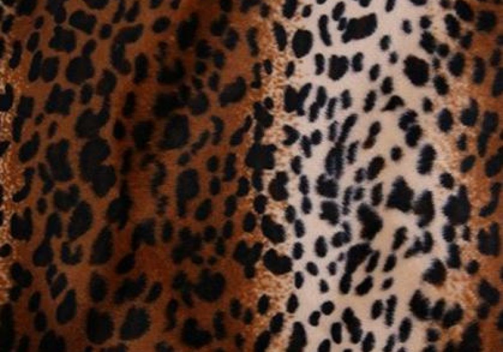 Dierenprint panter