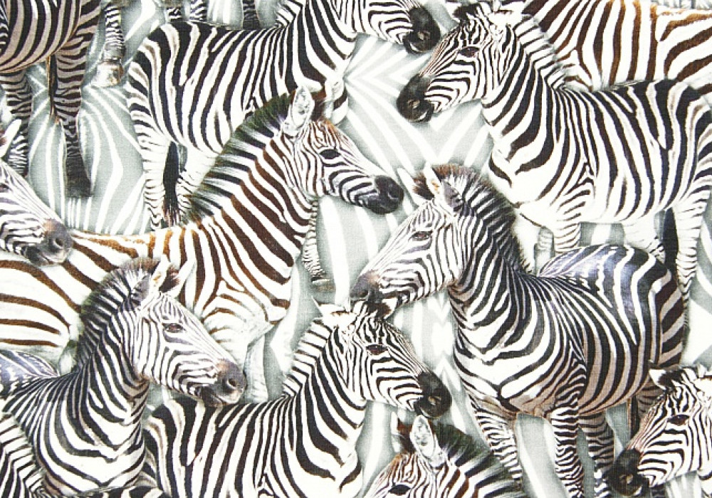 Digitale fotoprint tricot zebra