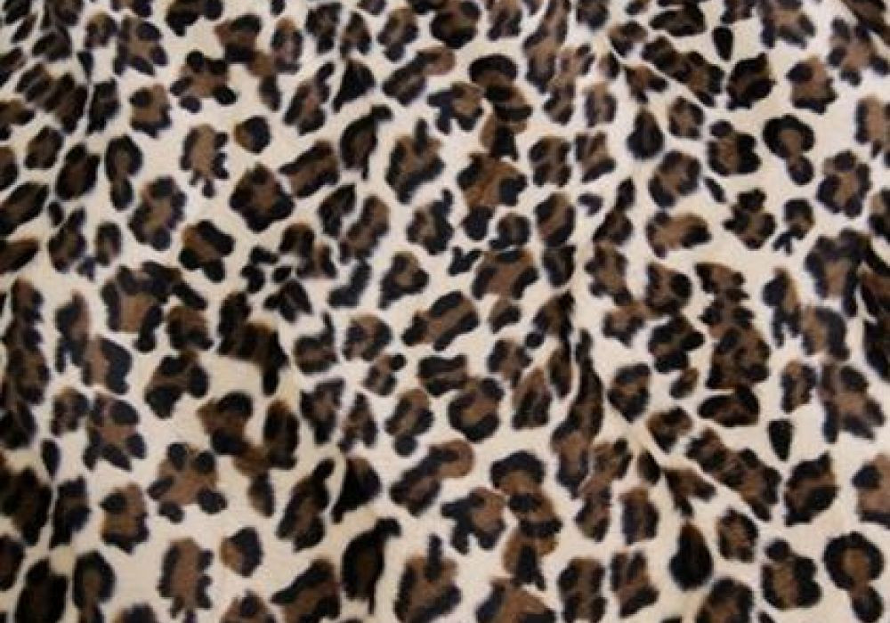 Dierenprint luipaard