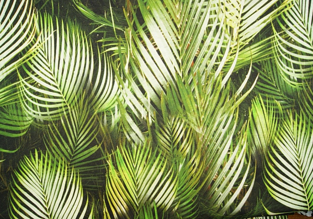 Fantasieprint tricot palmbladeren