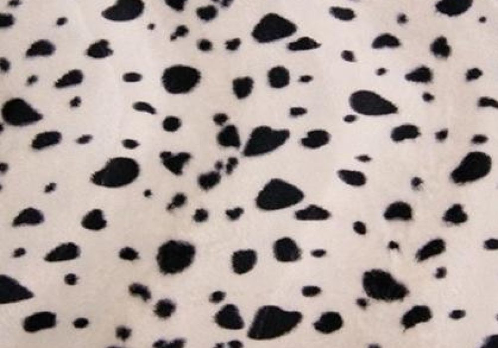 Dierenprint dalmatier