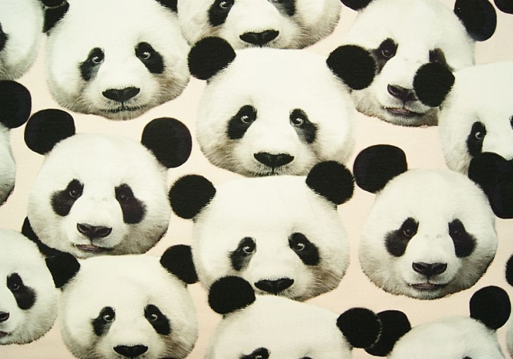 Digitale fotoprint tricot pandabeer