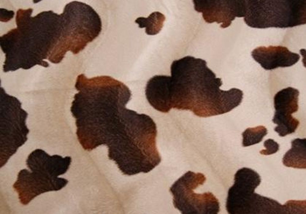Dierenprint koe