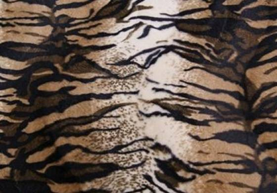 Dierenprint tijger