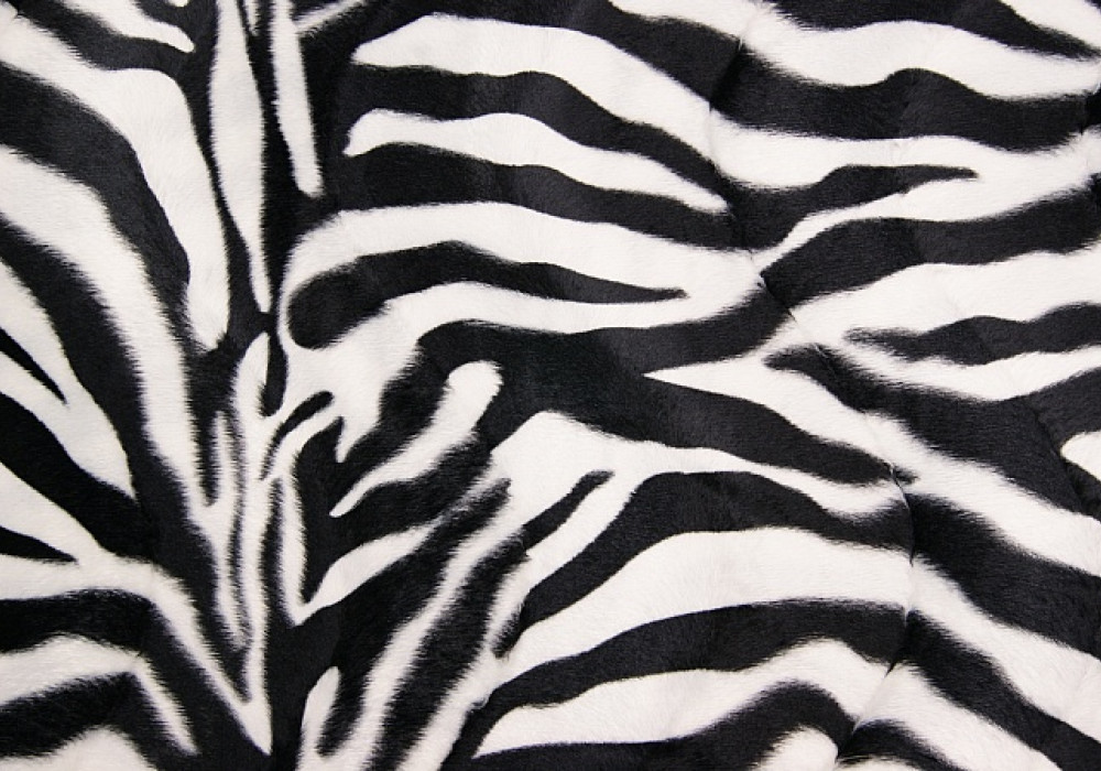 Dierenprint zebra