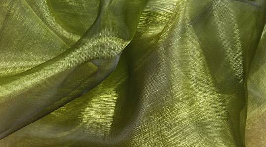 Organza mosgroen