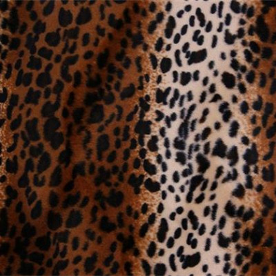 Dierenprint Panter