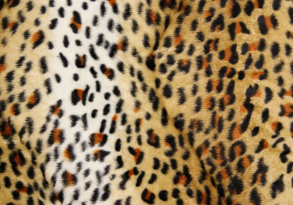 Dierenprint panter klein
