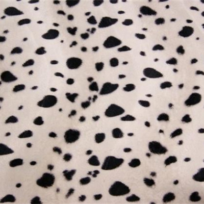 Dierenprint dalmatier