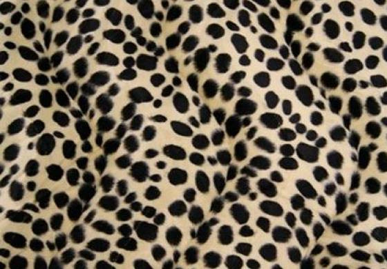 Dierenprint cheetah