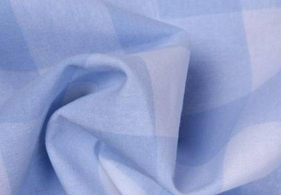 Boerenbont l-blauw ruit