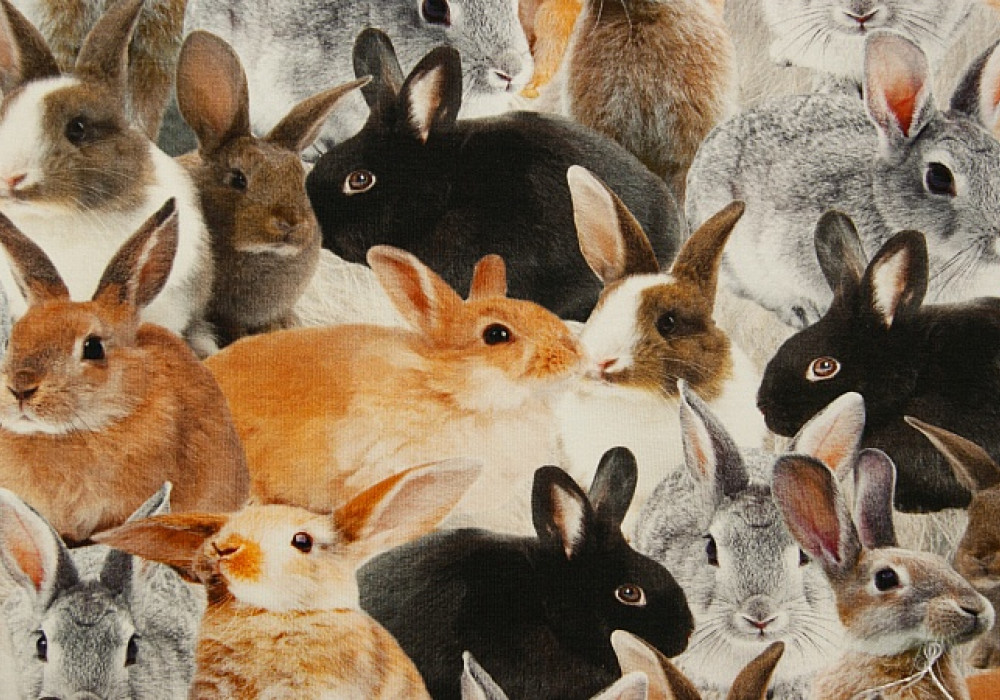 Digitale fotoprint tricot konijntjes