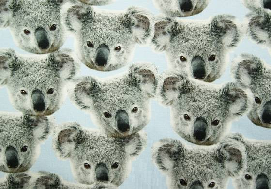 Digitale fotoprint tricot koalabeertjes
