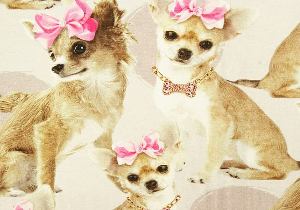Digitale fotoprint tricot hond met strikje