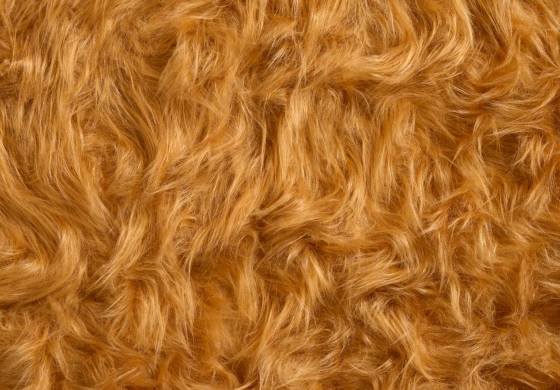 PLuche stof lang haar cognac bruin