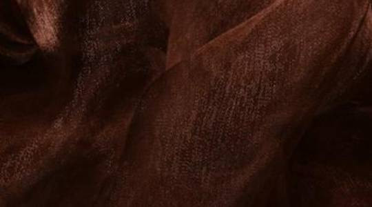 Organza bruin